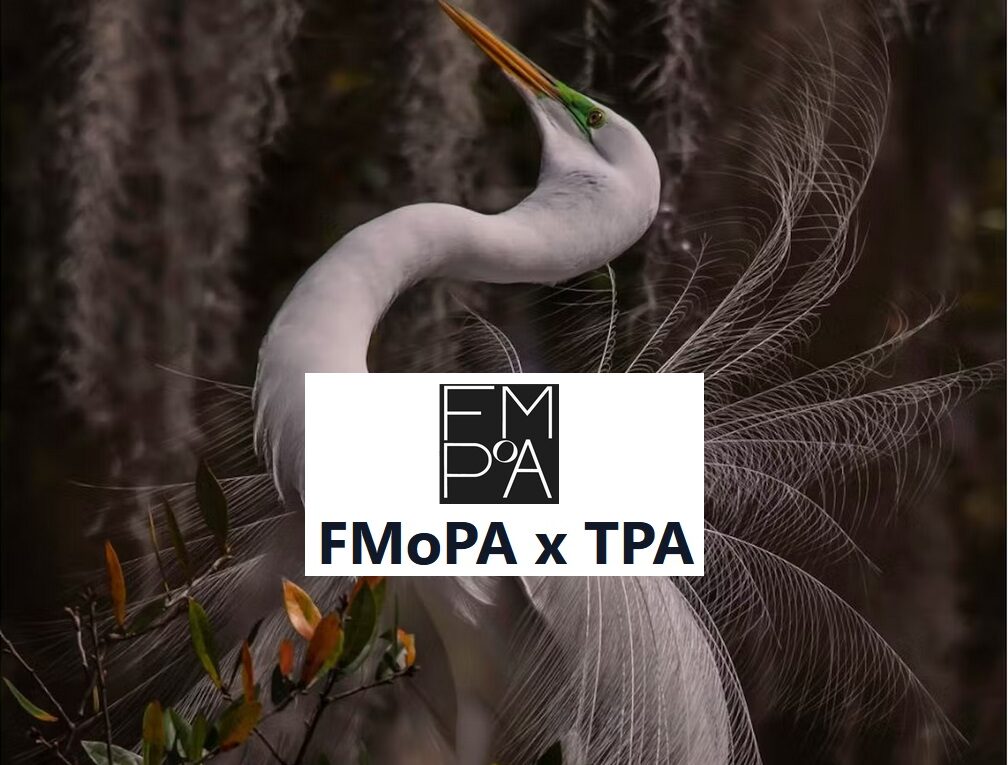 2023 International Photography Competition FMoPA x TPA