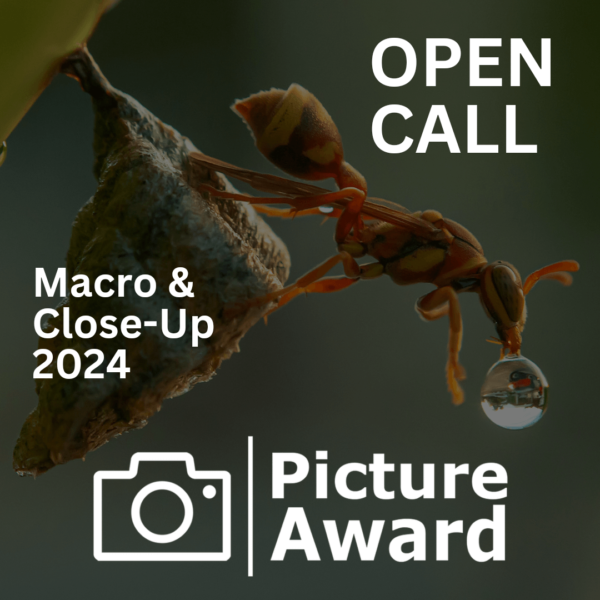 Picture Award 2024 – MACRO & CLOSE-UP