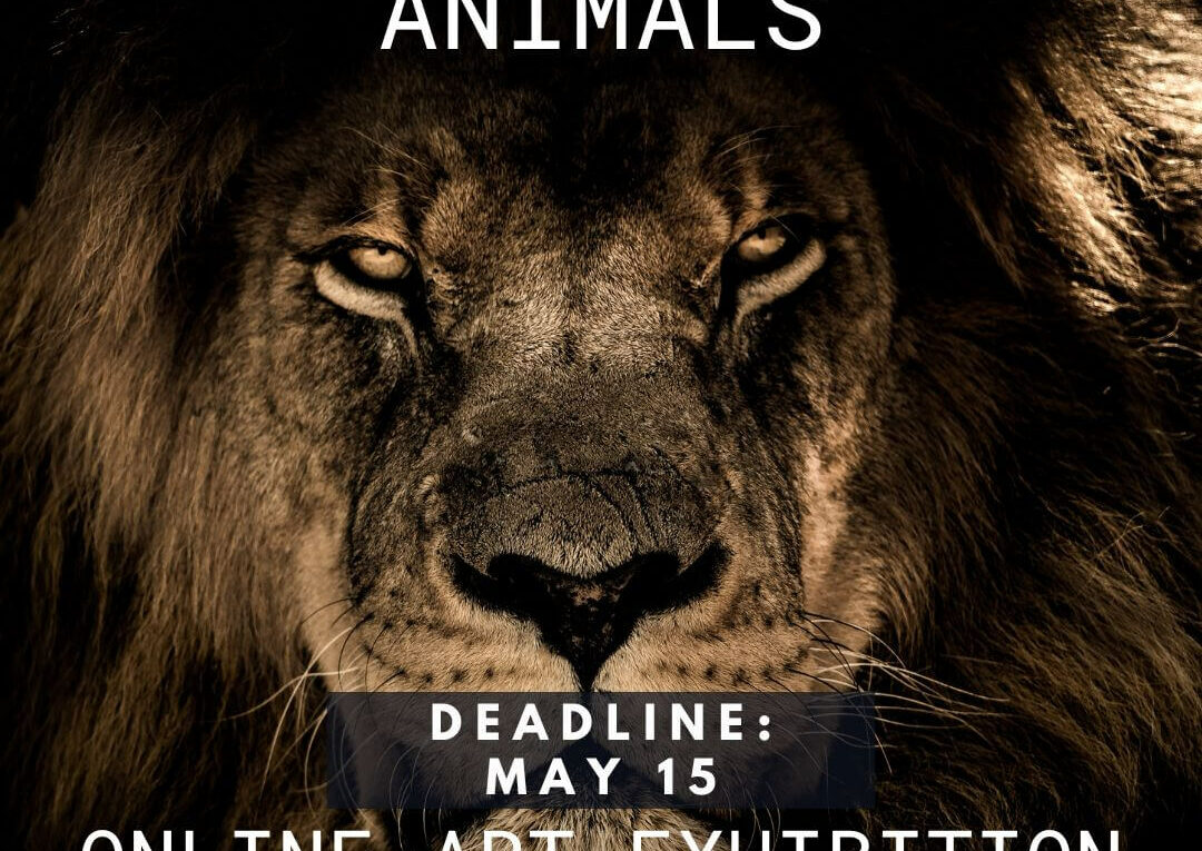 Animals Online Art Competition