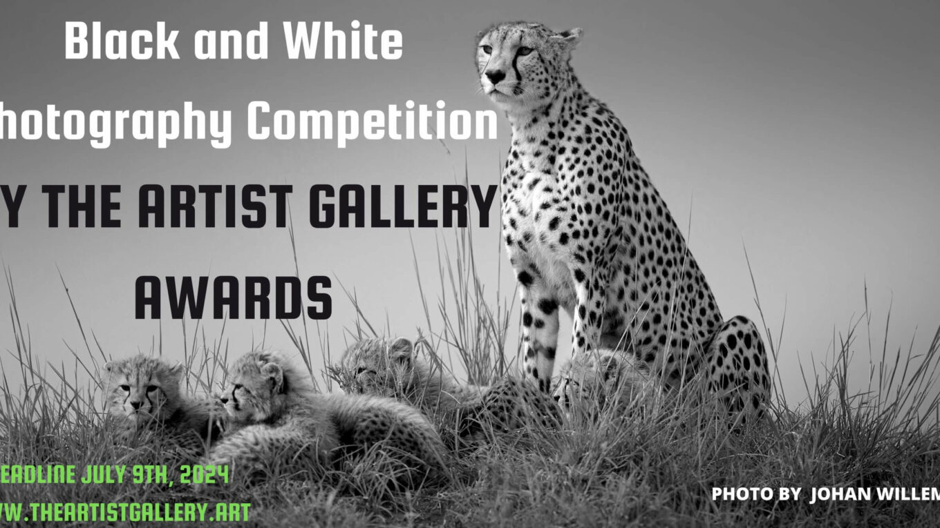 Black and White by The Artist Gallery Awards
