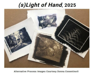 (s)Light of Hand