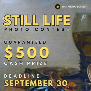 Still Life Diaries | Still Life Photography Contest