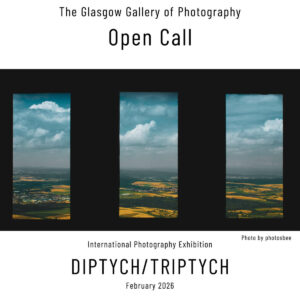 Diptych/Triptych