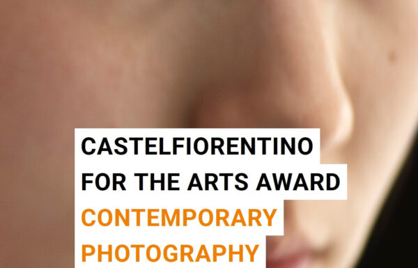 Castelfiorentino Prize for the Arts