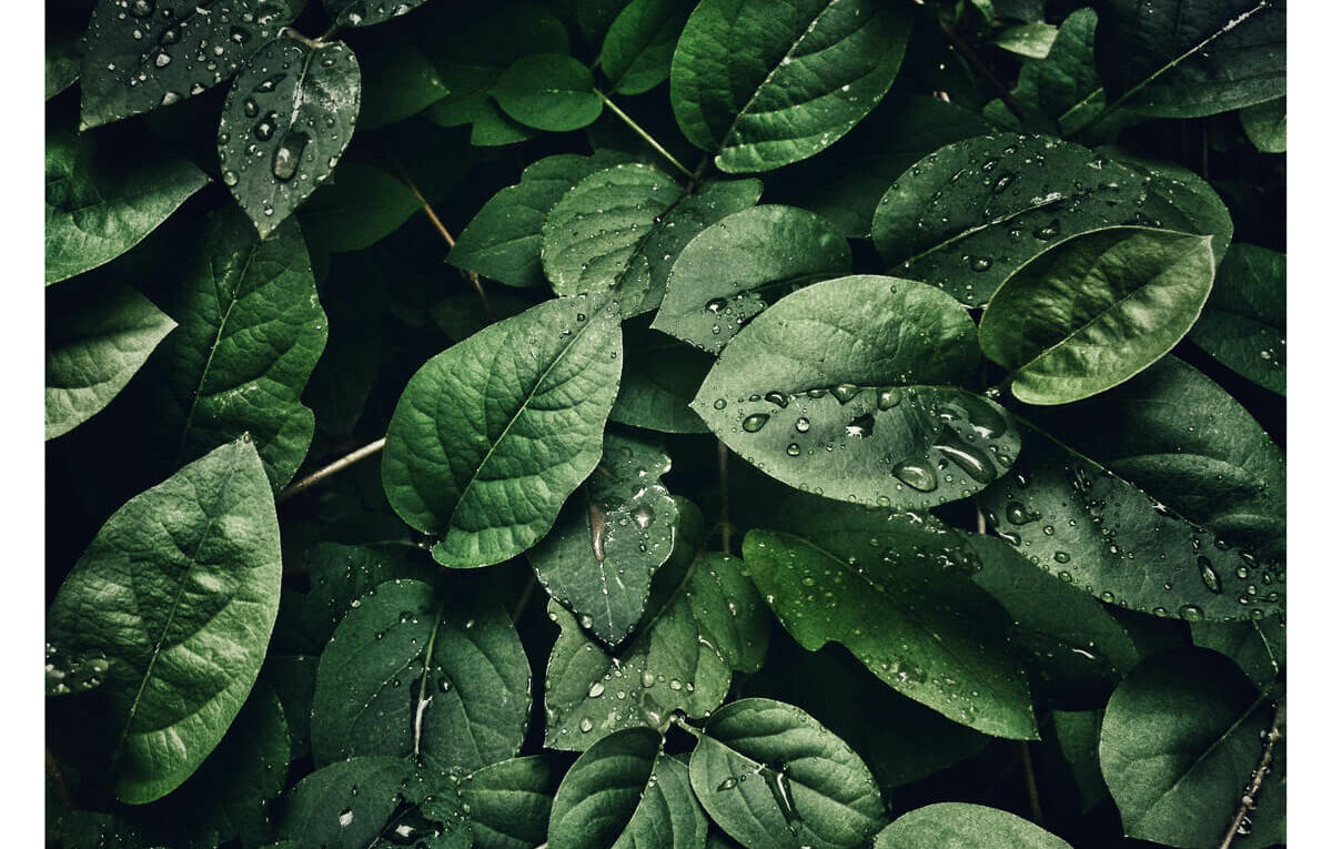 Texture International Photography Exhibition