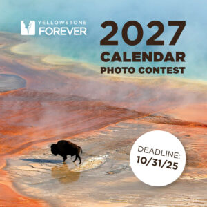 Yellowstone Forever Calendar Photo Contest