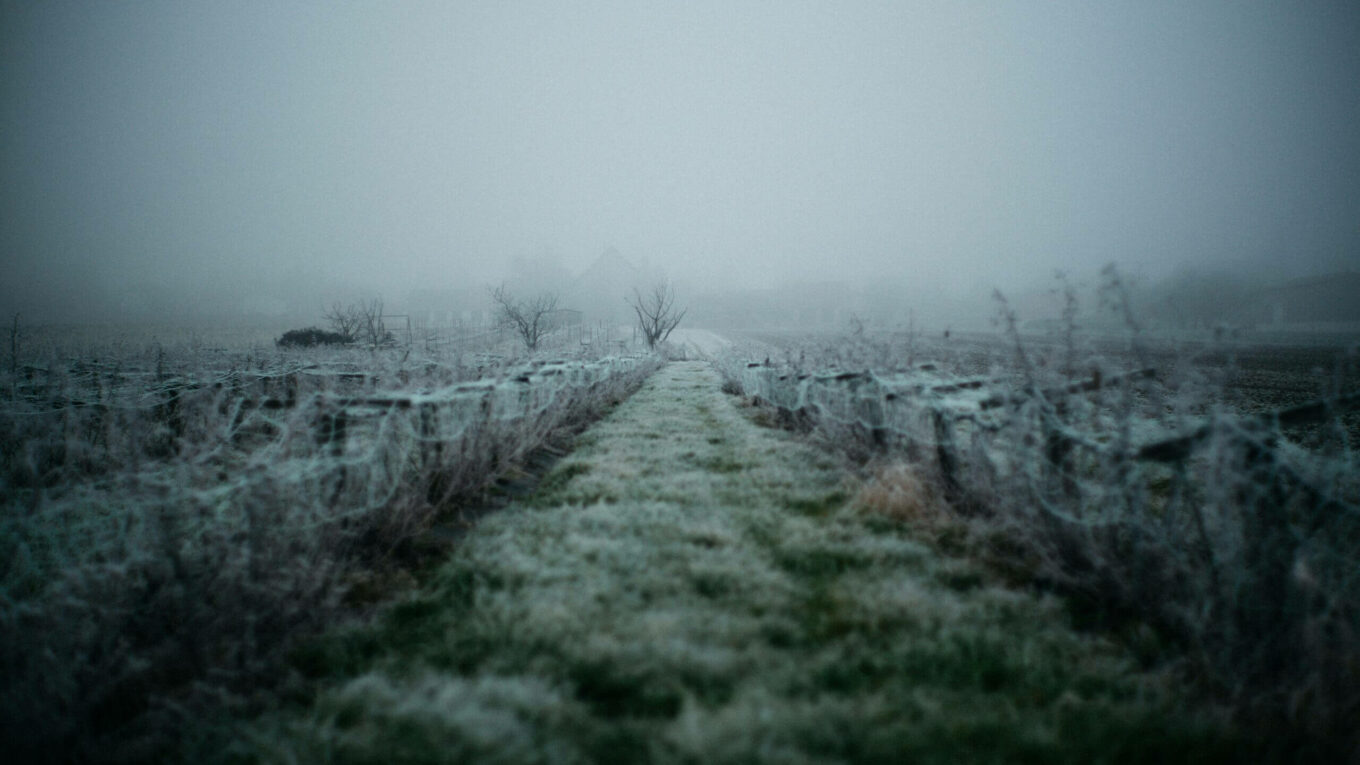 “Cold” A Winter Photography Exhibition