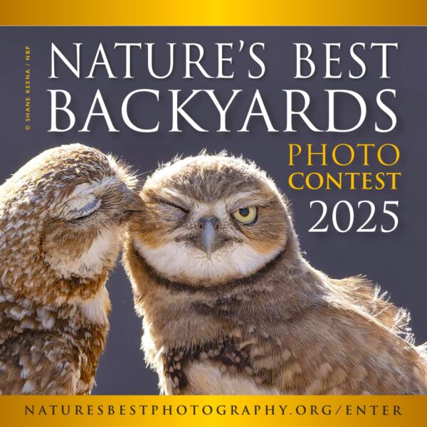 Nature’s Best Backyards