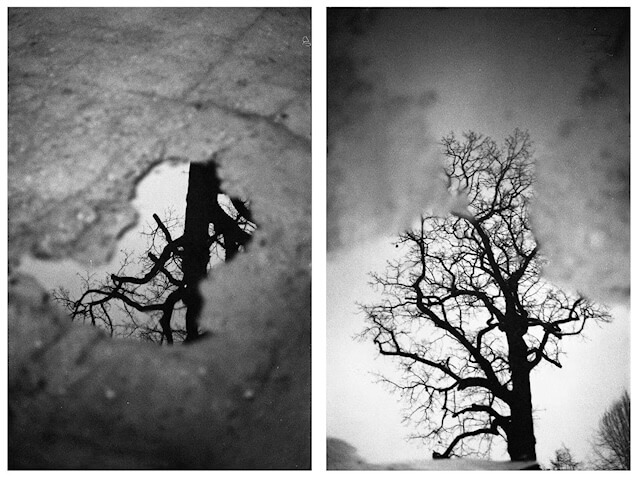 Diptych - Open Theme