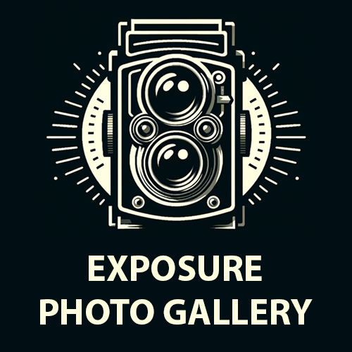 The Shape of a Moment