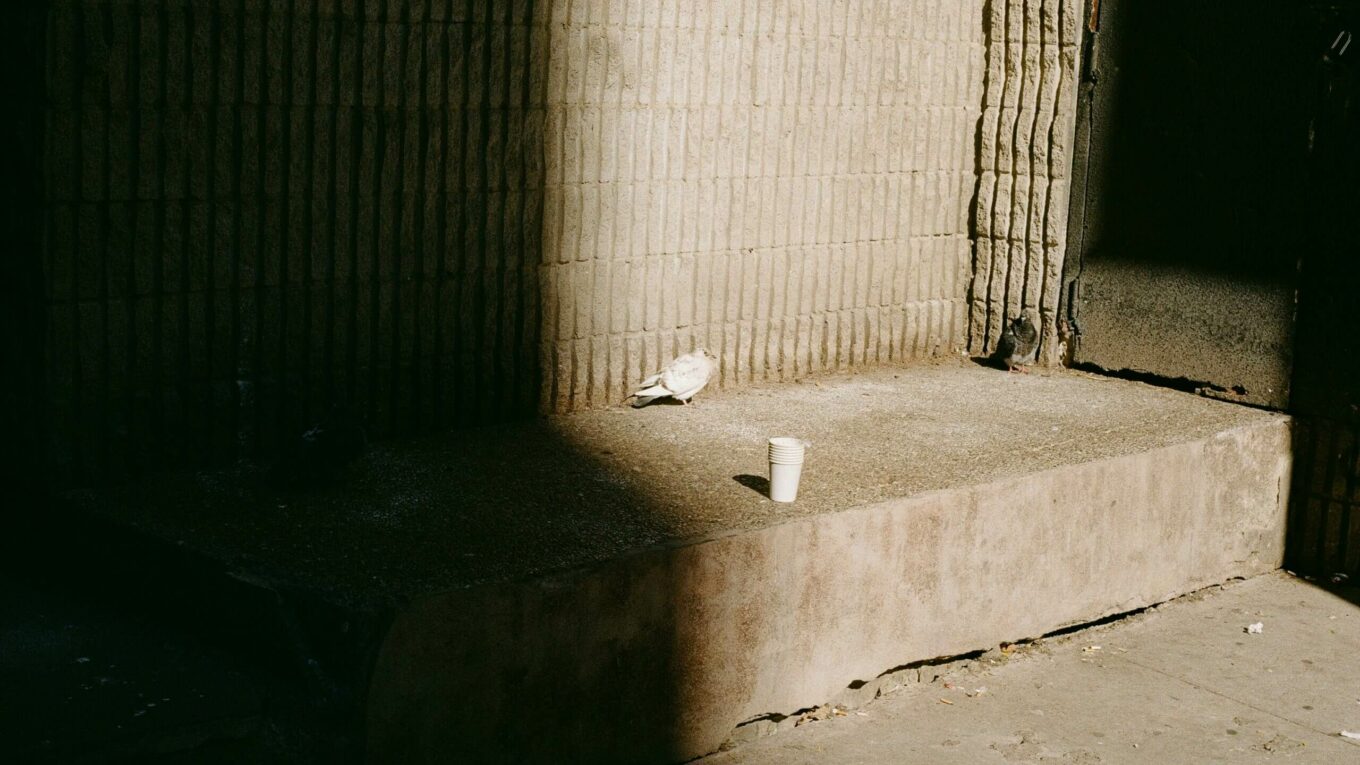 “Shadows” A Photography Exhibition