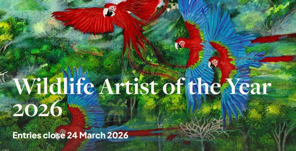 Wildlife Artist of the Year 2026 | Photo Contest Calendar 2026