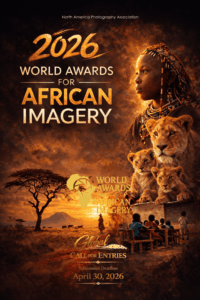 World Awards for African Imagery