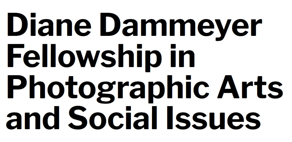 Diane Dammeyer Fellowship