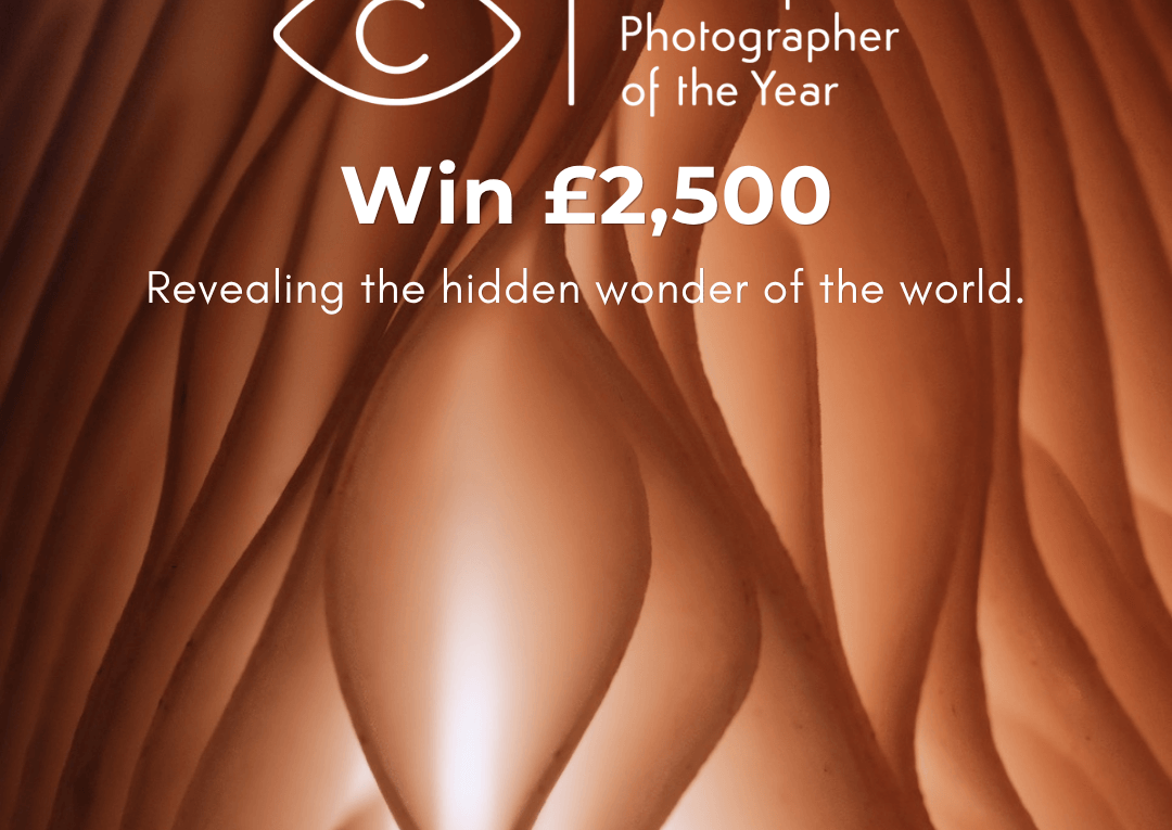Close-up Photographer of the Year