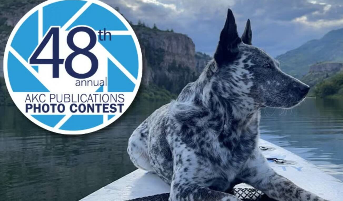 AKC Photo Contest