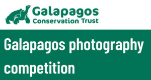 Galapagos Photography Competition