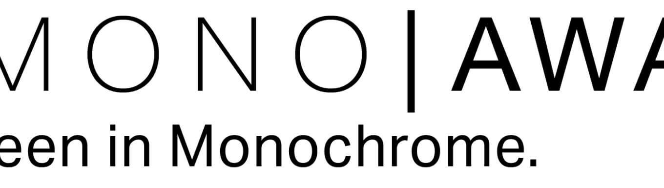 EVI MONO AWARDS