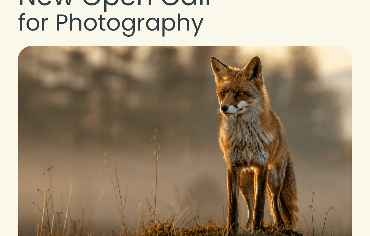 Animals Open Call