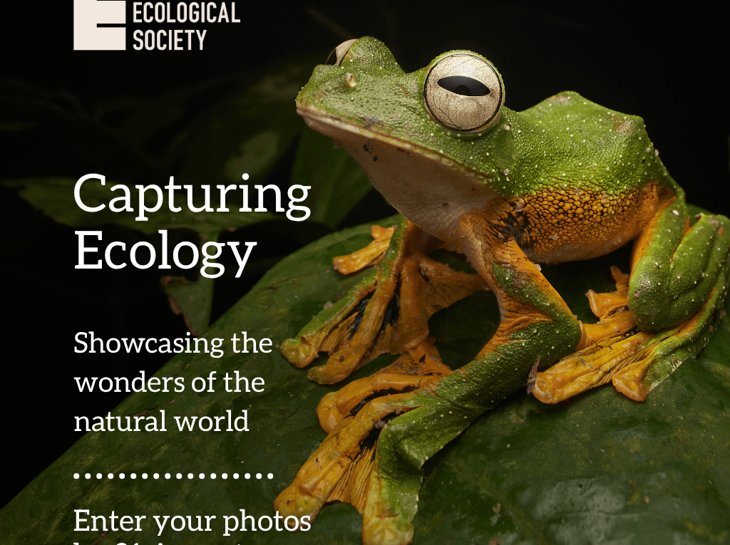Capturing Ecology