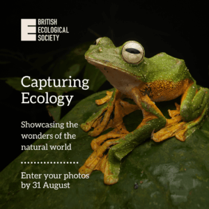 Capturing Ecology