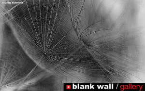 Still Life Photography