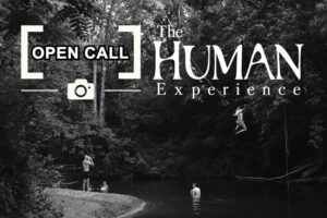 The Human Experience