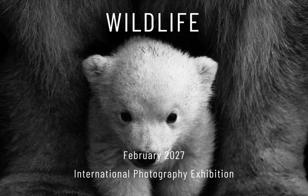 Wildlife