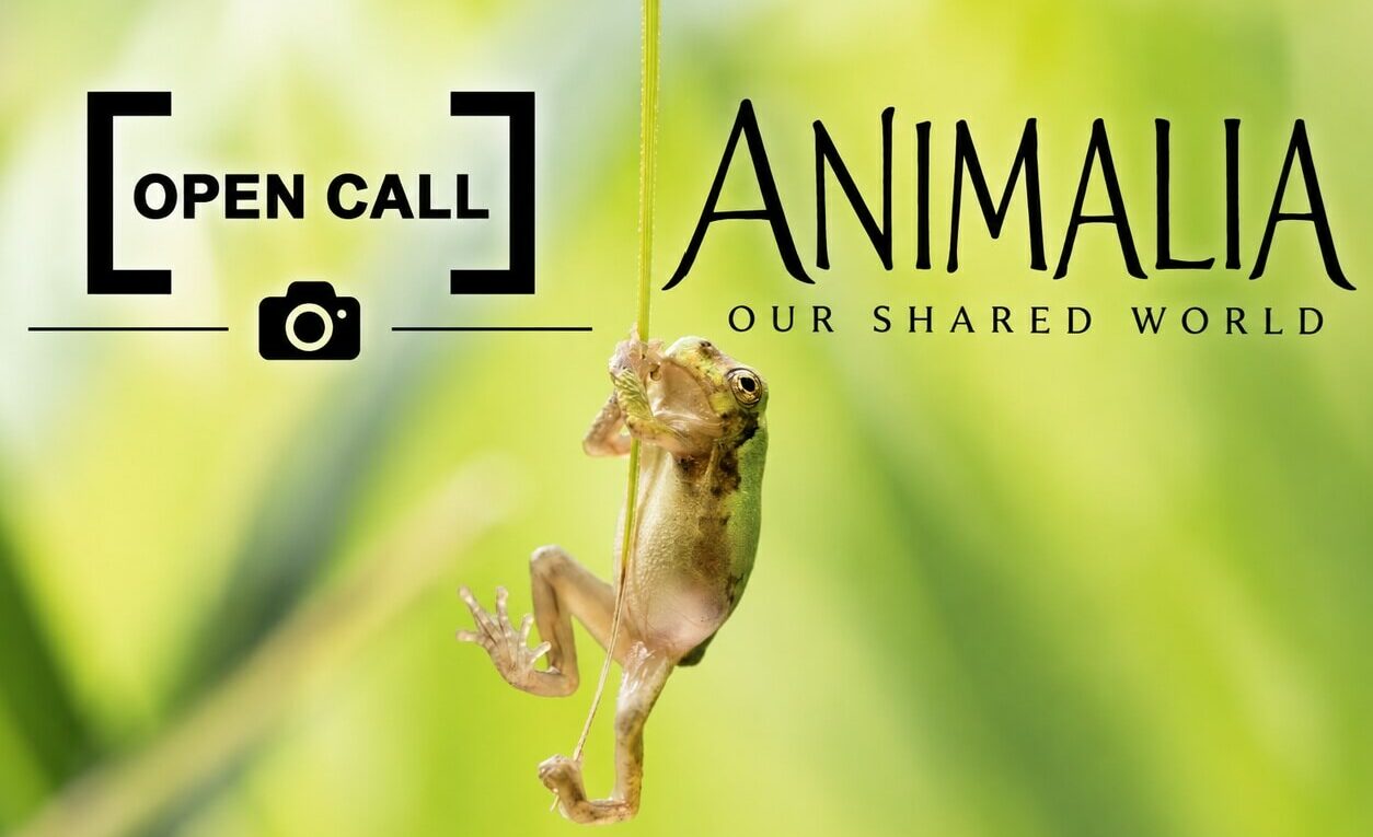 Animalia: Our Shared World